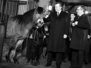 Під час державного візиту у Польщу 3–4 лютого президент Віктор Янукович отримує у подарунок від президента Броніслава Коморовського пару гуцульських коней 