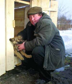 Працівник звалища Федір Примолений доглядає собак, які живуть у клітках