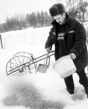 Леонід Бабій зі райцентру Калинівка, що на Вінниччині, посипає город попелом. Каже, добриво проникне у ґрунт зі снігом, коли потепліє