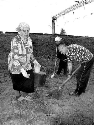 Галина Поліщук (ліворуч) із містечка Гнівань Тиврівського району Вінниччини з чоловіком Олександром і сестрою садять картоплю 29 квітня торік. Вони отримали ділянку біля залізничного вокзалу