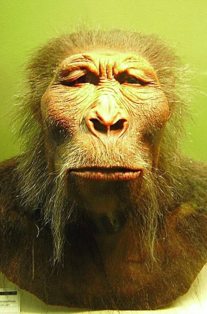 Парантропи Бойса (реконструкція на основі археологічних знахідок) жили від двох з половиною до одного мільйона років тому. Із людьми їх зближує будова таза, яка була пристосована до ходіння на двох ногах. Проте мозок становив лише 35 відсотків середнього об’єму мозку сучасної людини
