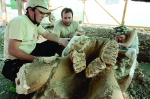 Чилійські палеонтологи Пабло Мансілла (ліворуч), Омар Рекабаррен (у центрі) і Консуело Х’юдобро оглядають знайдені кістки мастодонта у селищі Падре-Уртадо
