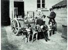 Молочниця розвозить свій крам клієнтам візком, запряженим псами, у бельгійському місті Антверпені –1890­ті. Така картина була звичною й у сусідніх Нідерландах, Франції та Німеччині 