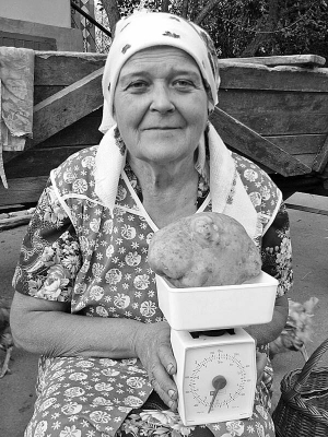 Валентина Якубчик із рівненського села Глинськ зважує картоплину завдовжки 15 сантиметрів. Науковці кажуть, виросла така, бо в цьому році бульбі вистачило вологи і було тепло