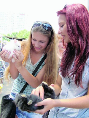 Киянки розглядають англійських міні-кроликів, якими торгують біля столичного метро Житомирська. Тварини виконують 25 команд, їдять вівсянку і овочі