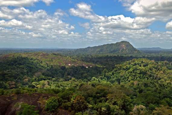 Тропические леса Амазонии