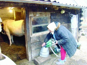 Галина Снітко готує доїльний апарат. За півроку роботи пристрою довелося замінити доїльний бак, гумові шланги та мембрану