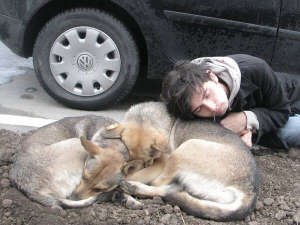 Режисер Віталій Дерех сфотографувався біля двох собак на одній з вулиць Тернополя. Часто знімається у власних короткометражках