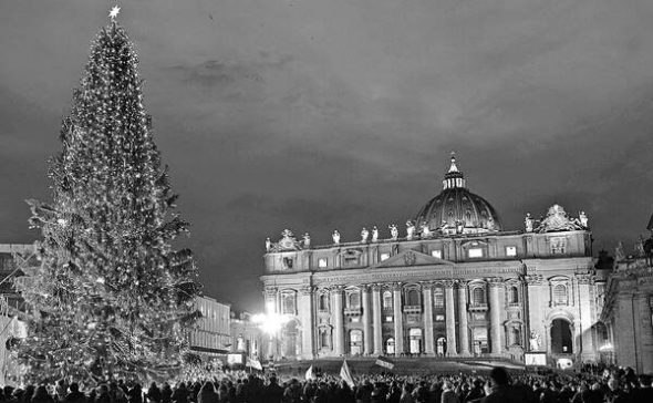 Українську ялинку в Римі запалили 16 грудня. Наша країна стала 11-ю в Європі, що забезпечила Ватикан цим деревом