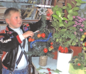 Ярослав Нижник із Жашкова на Черкащині прикрашає ялинку. Замість іграшок чіпляє помідори, які виростив у вазоні