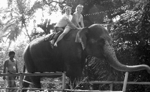 Киянка Ольга Сова із чоловіком катається на слоні на курорті Шри-Ланки. За 15 хвилин розваги заплатили 40 доларів