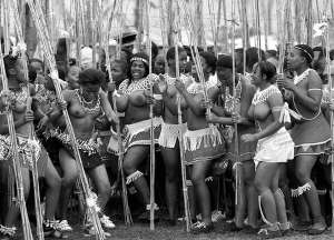 Наречені в Свазіленді виконують танець тростини. Найкращу з них король цієї країни обере собі за дружину