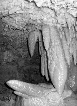 У печері Млинки біля тернопільського села Залісся  багато жовтих та сірих кристалів.  Торкатися до них туристам не дозволяють,  щоб не поламали