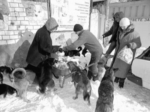 Людмила Сидорук(праворуч) з помічницею на території собачого притулку у Вінниці по вулиці Сабарівській годує зіпсованими продуктами із супермаркетів собак. Найчастіше їм привозять молоко і кістки