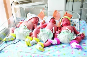 Двох хлопчиків та дівчинку (зліва направо) народила Оксана Галайчук в Рівненському обласному перинатальному центрі 1 березня. Востаннє трійню в області народжували 2009 року
