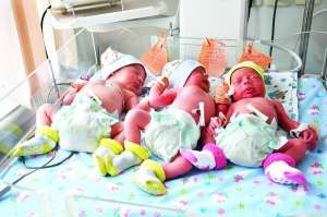 Двох хлопчиків та дівчинку (зліва направо) народила Оксана Галайчук в Рівненському обласному перинатальному центрі 1 березня. Востаннє трійню в області народжували 2009 року