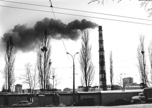 Через забруднені повітря та воду, неякісну їжу людина весь час живе на межі розвитку серцево-судинних, онкологічних недуг. Очищення організму починають із уживання натуральних продуктів