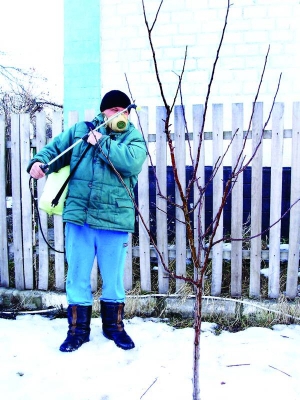 Садівники, які кілька разів на рік кроплять дерева та городину отрутохімікатами, часто страждають на ниркову недостатність. На початкових стадіях болю не відчувають