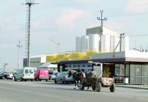 Підприємство ”Оліяр” розташоване при в’їзді у село Ставчани Пустомитівського району. Поряд новозбудованої автобусної зупинки олійний магазин. Літр олії ”Майола” просто з виробництва продають на гривню дешевше