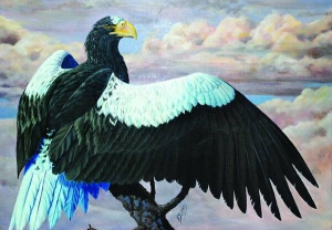 Картину ”Білокрилий орлан” та інші роботи художника Ігоря Землянських виставили у Бориспільському краєзнавчому музеї