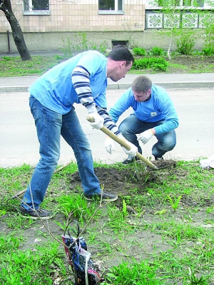 Волонтери компанії ”Київстар” копають лунку для висаджування троянд на ”Алеї журналістів” у Полтаві