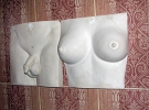 Картини з туалету в ”Мазох-кафе”