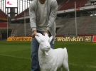 Лукас Подольскі позує з фігуркою козла після прес-конференції