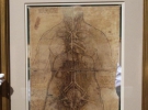 Несмотря на то, что да Винчи на протяжении столетий был известен как один из крупнейших деятелей искусства и науки Высокого Возрождения, значение его прогрессивных анатомических исследований оставалось практически неизвестным до 20 столетия