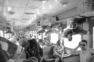 У вагоні дизель-поїзда Горинь — Здолбунів зверху на полиці торговці чіпляють м’які дитячі іграшки. В Україні їх продають за 400 гривень — удвічі дорожче, ніж купують у Білорусі