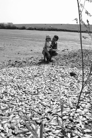 Олександр Гуменюк з донькою Анжелою на березі ставка у селі Порохня Волочиського району Хмельницької області. Третій тиждень водойма стоїть без води