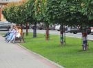 Львів'янам сподобалися "вдягнуті" дерева