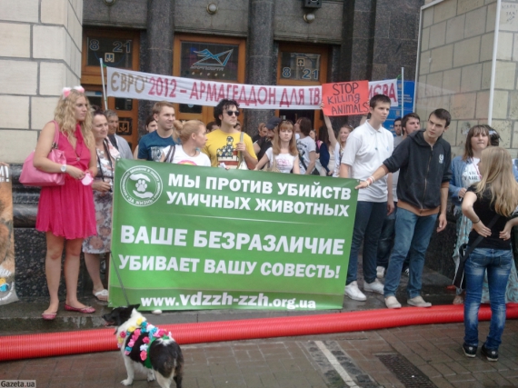 Кілька десятків людей біля фан-зони в Києві вимагають бойкотувати чемпіонат.