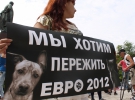 Участница марша Fair Play держит плакат в защиту бездомных животных