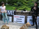 9 июня защитники животных почтили память невинно убитых собак.
