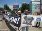Активисты провели митинг на площади Ленина под лозунгами "Остановим жестокость!", "Нет убийствам животных!", "Долой зоосадизм!"