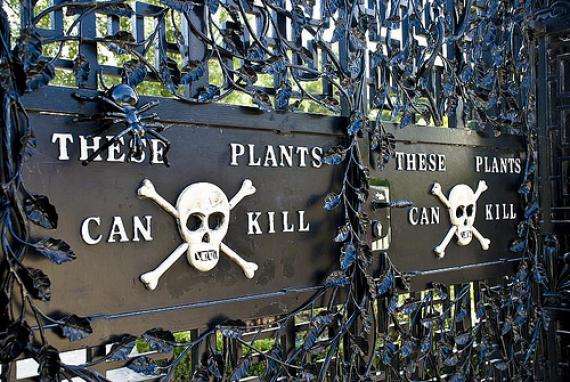 Ворота саду інформують про смертельну небезпеку