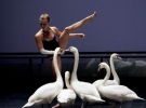 Білі лебеді з'являються на сцені в другому акті - причому кожного разу, коли птахи опиняються на сцені, танець стає повільніше
