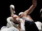 Хореограф також сподівається, що балет поставлять в Америці, де на сцені виступлять лебеді родом із США