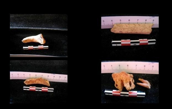 Аналіз послідовності ДНК показав, що всі знайдені в саркофазі людські кістки належали одній людині