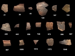 Черепки горщиків, які досліджені в роботі