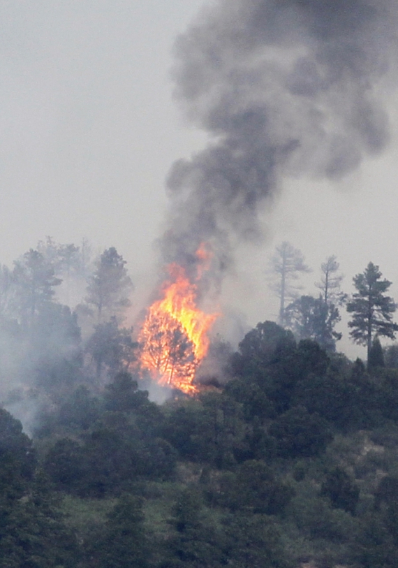 Пожар возник в ночь на 24 июня на территории Национального леса Пайк