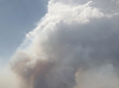 Всього на території Сполучених Штатів, станом на 24 червня, було зареєстровано 20 осередків лісових пожеж