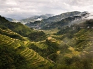 Рисовые террасы в районе Кордильер занимают более 360 квадратных километров
