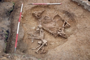 Археологи очень удивились, узнав кому принадлежат останки