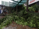Более ста человек получили травмы в результате действия мощного тайфуна