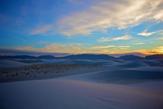 Влітку пісок не розжарюється, тому пустеля безпечна для життя