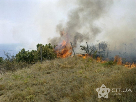 Возле Алушты возник пожар