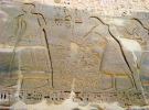 Це зображення було створене близько 400 років після того, як були поховані кисті, знайдені в Аварісі  у наш час. Воно показує відрубані руки ворожих солдат, які мали бути подарунком фараону  Рамзесу III на знак успішної воєнної кампанії