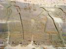 Это изображение было создано около 400 лет после того, как были похоронены кисти, найденные в Аварие в наше время. Оно показывает отрубленные руки вражеских солдат, которые должны быть подарком фараону Рамзеса III в знак успешной военной кампании