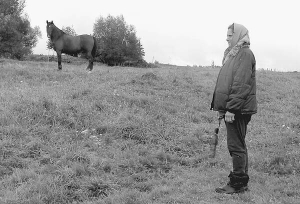 Ганна Даниляк стоїть на полі неподалік села Новошини Жидачівського району. На цьому місці тиждень тому уночі зграя вовків роздерла її місячне лоша. Воно паслося разом з кобилою